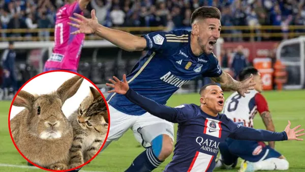 A Millonarios no le salió muy bien el fichaje de Giordana (Foto tomada de Caracol Radio, Billiken y Transfermarkt)