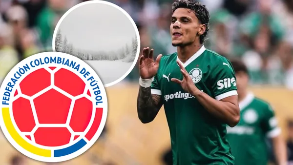Atención a lo que dicen sobre el momento de Richard Ríos comparado a la Selección Colombia Foto: SE Palmeiras, FCF y Pexels