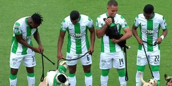 Atlético Nacional sacó una tierna campaña en el partido contra Deportivo Pereira.