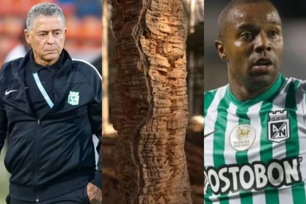 Dorlan Pabón tuvo una insólita acción con Atlético Nacional que no le habría gustado a Pedro Sarmiento