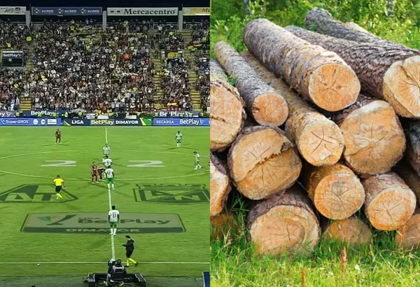 Dos jugadores de Atlético Nacional regalaron el partido del “Verdolaga” contra el Deportes Tolima.