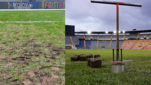 El Campín y su cuidado ¿Funcionará?