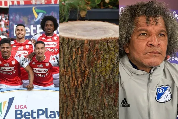 El club cardenal estaría interesado en un jugador del cuadro azul que no rinde ni como suplente.