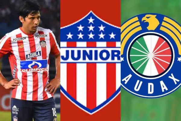 El cuadro tiburón podría fichar a un jugador chileno olvidando lo que hizo el tronco de Matías Fernández