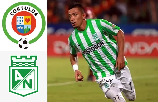 El cuadro “Verdolaga” al parecer tendría que pagar una alta multa por la decisión de un juez.