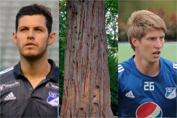 El defensor central con pasado en Millonarios donde fue un crack tiene nuevo equipo en Colombia