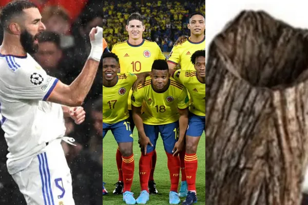 El delantero colombiano viene de marcar en Europa y lleva cuatro goles en la reciente temporada, mientras con la tricolor solo marcó tres goles en la eliminatoria rumbo a Catar 2022, según Transfermarkt.