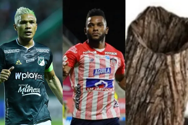 El delantero del Deportivo Cali insultó al atacante del Junior de Barranquilla por su actuación con la Selección Colombia.