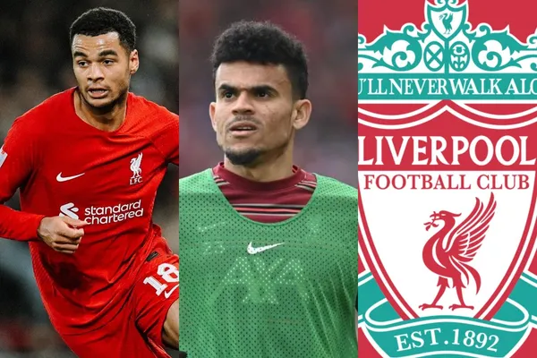 El entrenador alemán habló sobre el debut de Cody Gakpo quien brilló en el PSV