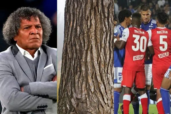 El entrenador habló previo al partido ante Junior que se jugará este miércoles en el estadio Metropolitano de Barranquilla