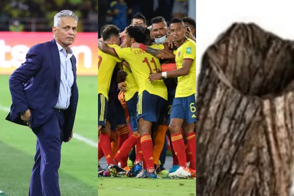 El entrenador vallecaucano hizo varios cambios para enfrentar a Bolivia en el estadio Metropolitano de Barranquilla.