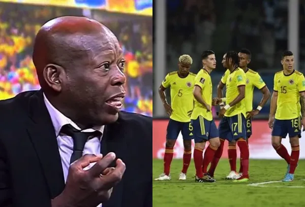 El ex jugador de la Selección Colombia hizo una valoración de la eliminación del combinado nacional.