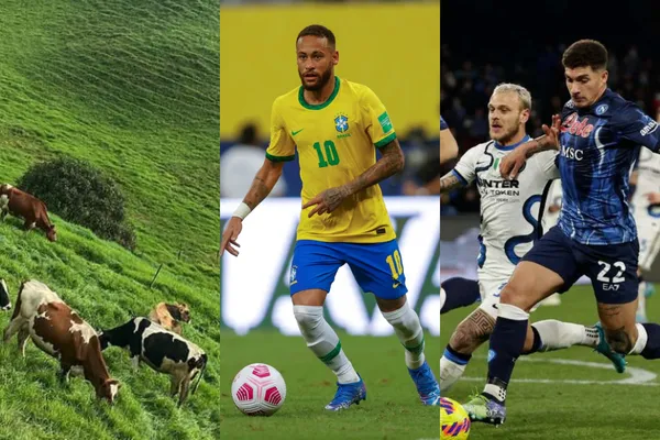 El exfutbolista colombiano militó varias temporadas en Italia donde fue figura y también hizo parte de la Selección Colombia.