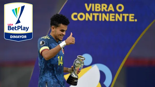 El guajiro tuvo una importante dirección técnica que le permitió establecer sus cualidades en definidos sectores del campo