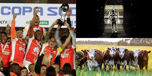 El jugador alcanzó la Gloria Eterna con el Club Independiente Santa Fe y ahora apuntaría a vivir de la ganadería que es una de sus pasiones.