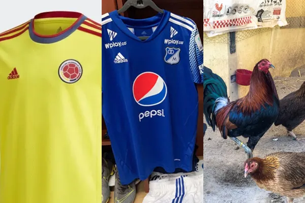 El jugador aparte de su carrera deportiva es un amante de la cría de gallos.