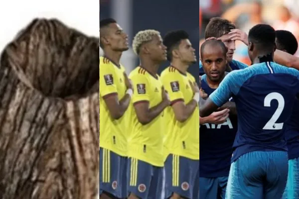 El jugador era titular indiscutido para Reinaldo Rueda y ahora perdió su puesto con un defensor que brilla en Europa.