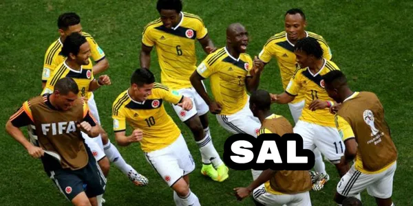 El jugador estuvo con la Selección Colombia en el Mundial de Brasil 2014 pero con el pasar del tiempo desapareció dado que se saló por varios factores.