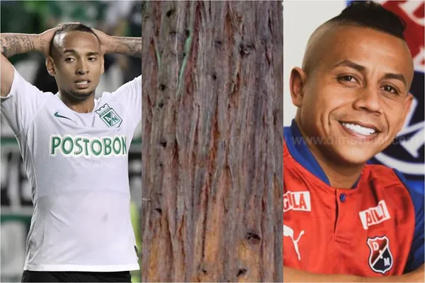 El jugador no ha tenido un buen rendimiento en Atlético Nacional en la reciente temporada y es considerado un tronco para los hinchas