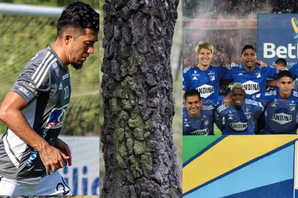 El jugador con pasado en Millonarios le gustaría regresar al cuadro embajador