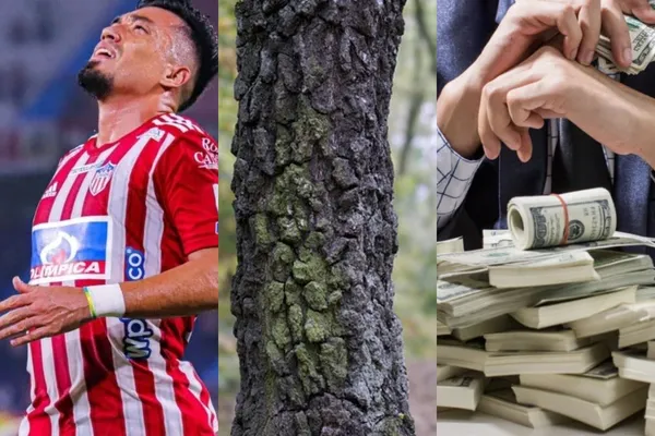 El Jugador no rindió en Junior como se esperaba y por eso el club decidió no renovar su contrato