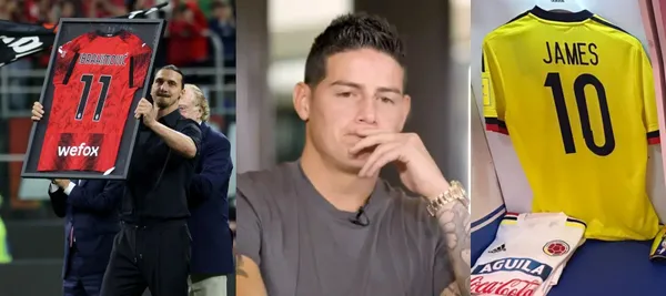 El jugador sueco anunció su retiro como profesional luego de vestir la camiseta de Milán donde fue una estrella