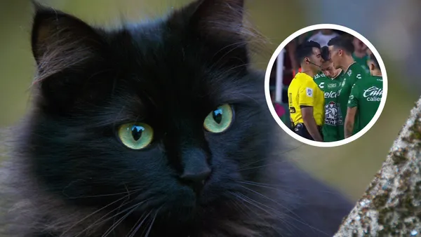 El otro protagonista en medio de la desafortunada noche de James Rodríguez Foto: Pexels y X