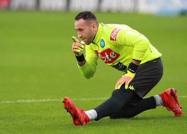 El portal Calciomercato afirma que la directiva del Napoli por influjo del entrenador Luciano Spalletti, estaría visualizando extender el contrato del portero italiano Alex Meret, de esta forma se terminaría de confirmar el envío al banquillo del colombiano David Ospina. El director técnico Spalletti al parecer no tendría a Ospina en su lista como portero titular, por la obsesión que tiene con Meret. David analiza a detalle su presente deportivo porque esta situación lo puede afectar en gran medida.