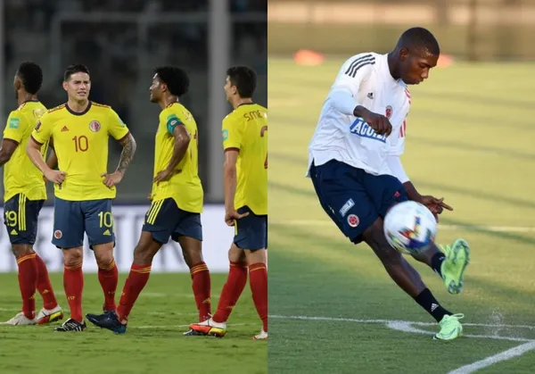 En la Selección Colombia miles de hinchas apuestan por una renovación del equipo, ya que los actuales jugadores habrían cumplido su paso por el combinado nacional.