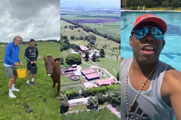 Erling Haaland tiene una granja en Europa, en paralelo Faustino Asprilla tiene una finca en Colombia que la ha llevado a otro nivel.