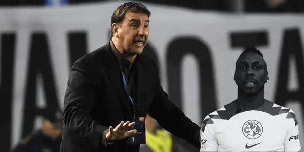 Estos delanteros colombianos merecen ser tenidos en cuenta en el equipo de Néstor Lorenzo