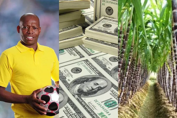 Faustino Asprilla gana millones gracias a un negocio que no es la caña de azúcar, en el vídeo que tienes abajo descubrirás cuál es ese nuevo negocio de “El Tino” ⬇️⬇️⬇️