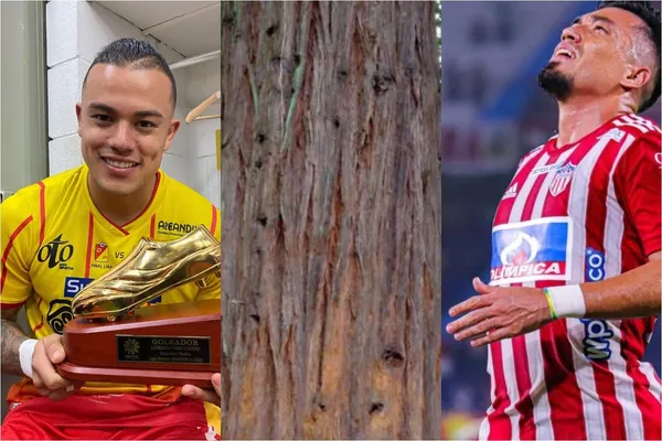 Fernando Uribe no rindió como se esperaba este semestre en Junior y su futuro es incierto en el cuadro tiburón