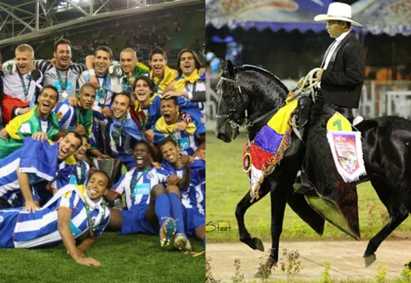 Fredy Guarín aparte su carrera como futbolista, ahora cría y prepara caballos en Colombia, pero no son cualquier tipo de equinos, acá te contamos más de ese negocio.
