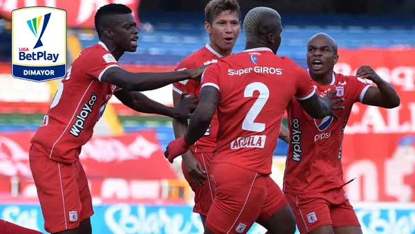 image-f0d57e70-95fb-11ee-bf75-7e0aa5da29dc