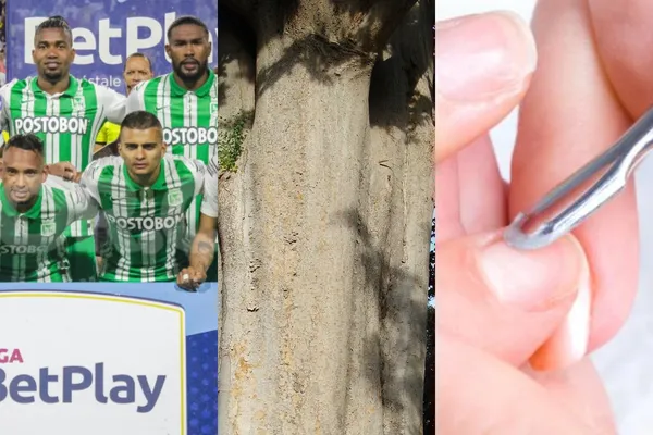 La insólita acción se presentó en el partido de Atlético Nacional ante Alianza Petrolera