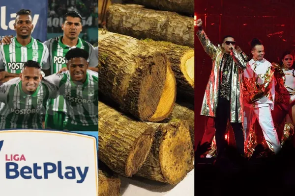 Los tres jugadores de Atlético Nacional han sido troncos en el equipo en lo corrido de esta temporada y ahora fueron vistos de fiesta