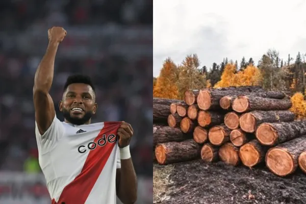 Miguel Ángel Borja volvió a anotar con River Plate, antes había sido criticado y habló tras su último tanto.