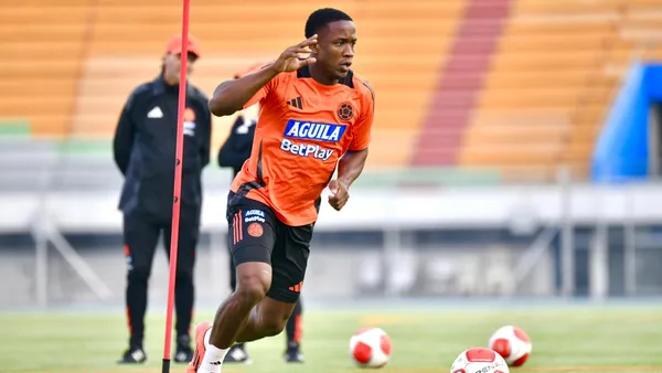 Selección Colombia Foto: FCF Oficial