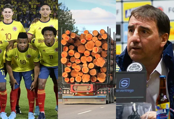 Un grupo de jugadores que no han venido aportando o que ya pasó su momento podrían ser una piedra en el zapato para la nueva gestión de Néstor Lorenzo en la Selección Colombia.