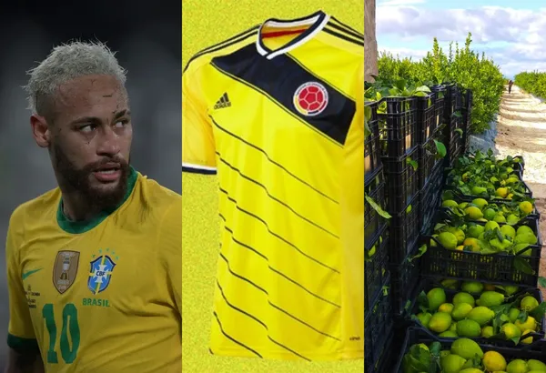 Un jugador colombiano no es para nada del agrado de Neymar y este ahora tiene un emprendimiento agrícola en Colombia.