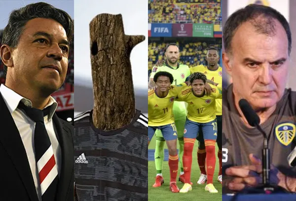 Un jugador de la Selección Colombia de acuerdo a su rendimiento y otro factor podría no regresar al equipo de cara al próximo proceso.