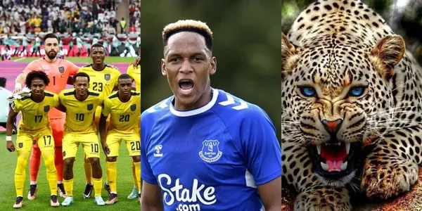 Yerry Mina volvió a la titular en Everton y fue una pesadilla para dos jugadores de Ecuador.