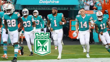 Jugadores del Miami Dolphins de la NFL