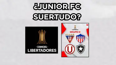 Junior FC ya sabe contra quienes van en Libertadores. Foto tomada de Junior FC en Twitter. 