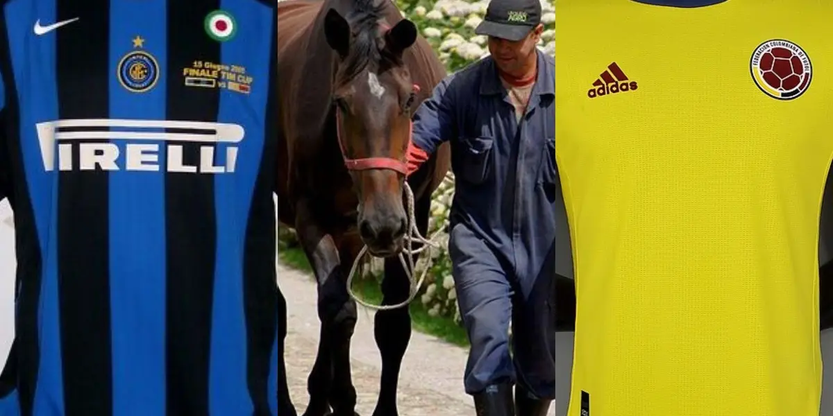 Un jugador colombiano que militó en el Inter de Milán, ahora tiene como una de sus actividades económicas la cría de caballos.