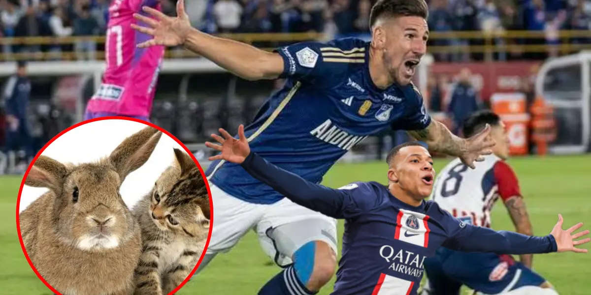 A Millonarios no le salió muy bien el fichaje de Giordana (Foto tomada de Caracol Radio, Billiken y Transfermarkt)