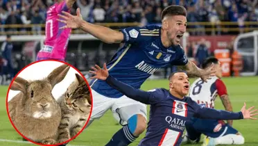 A Millonarios no le salió muy bien el fichaje de Giordana (Foto tomada de Caracol Radio, Billiken y Transfermarkt)