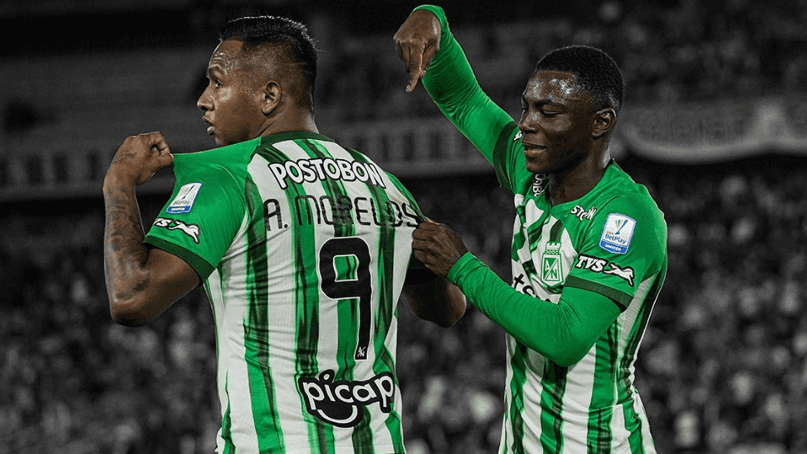 Alfredo Morelos Foto: Nacionaloficial