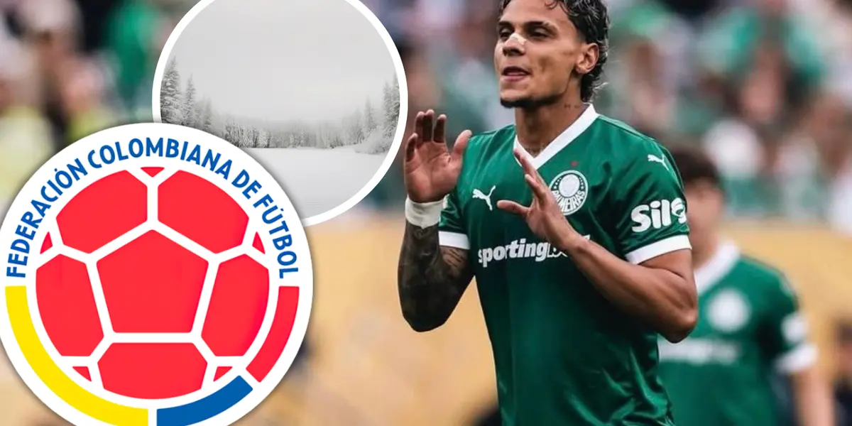 Atención a lo que dicen sobre el momento de Richard Ríos comparado a la Selección Colombia Foto: SE Palmeiras, FCF y Pexels
